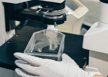 Sample Registration Form