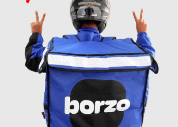 Borzo