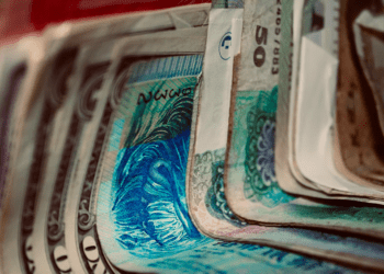 Qiming Ventures Partners