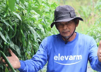 Elevarm Lands $4.25M to Expand AI-Powered Farming Solutions in Indonesia