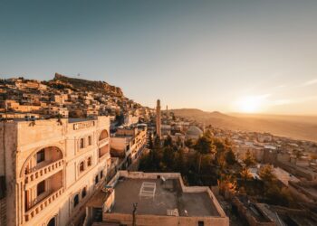 PayPal’s $100 Million Bet: Can It Transform Digital Commerce in MENA and Africa?