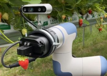 Reprogramming the Farm: How miFood Is Bringing AI Precision to Agriculture